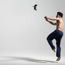 Karate kick pengiun — figure reference